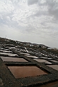 Kanary_2010 191